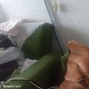 ���� ����, ������, 55 ��� - ��������� 26 ������ 2026 � ������ ���� ����������