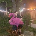 ���� ����������, ���������, 54 ���� - ��������� 7 ������ 2023