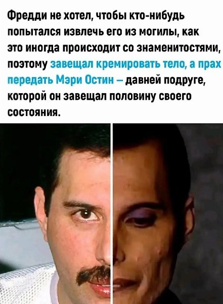 ����� �� ������, ��� ����� � ��� ��������� - 2