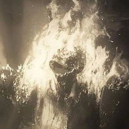 ����, �����-���������, 35 ���