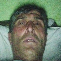 �����, �����-���������, 53 ����