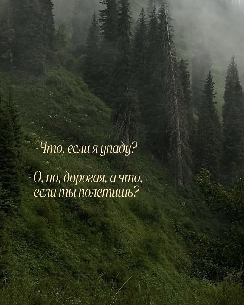 ������ | Wisdom & Beauty - 18 �������� 2025 � 20:11 - 10