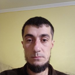 ���� ������, �������, 34 ���� - ��������� 4 ������ 2026