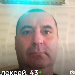 ������� ��������, ����, 43 ����