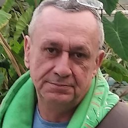 �������, ������, 56 ���