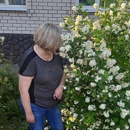 ������, ������, 38 ���