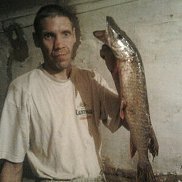 ������, 51 ���, ��������