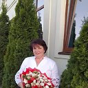  , , 58  -  26  2024    