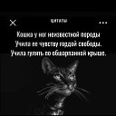 ���� �������, ���������, 61 ��� - ��������� 11 ���� 2026 � ������ ���� ����������