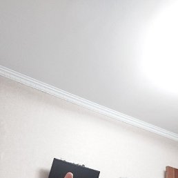 ����, �����������, 48 ���