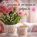 ���� �������, ����������� - ��������� 21 ������ 2026 � ������ ���� ����������