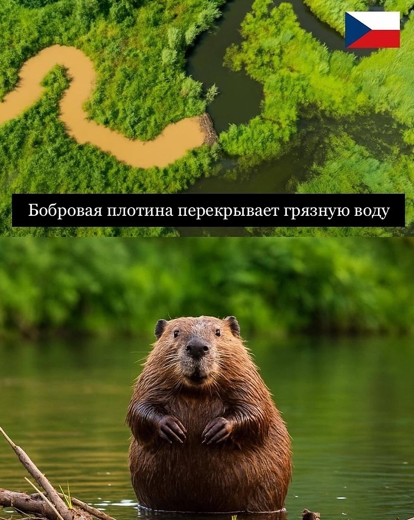      1,2  .  2018     ...