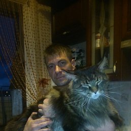, 53, -