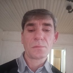 , 48, 