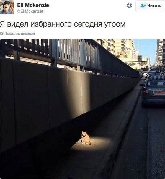   - 26  2023  22:43