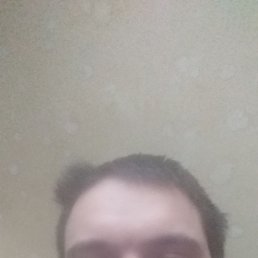 , 29, 