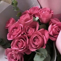 �������, ���������� �����