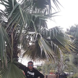 �����, 44 ����, ����