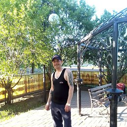 �������, ������, 37 ���