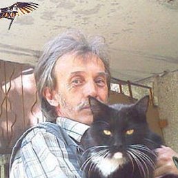 ������, �������������