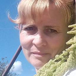 ������, ����, 49 ���