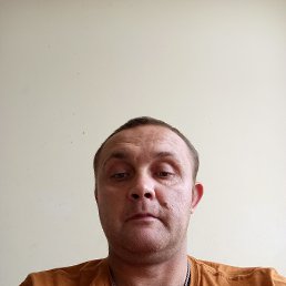 , 37, 