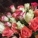 ���� �������, ����, 52 ���� - ��������� 27 ������ 2026 � ������ ���� ����������