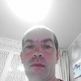 �������, 41 ���, ����