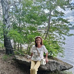 , 65, 