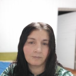���� ������ ���������, ����������, 44 ���� - ��������� 21 ����� 2026