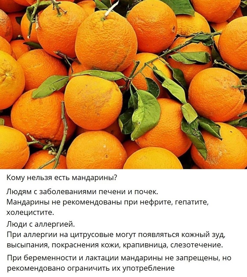 ��� ���� - 26 ������� 2026 � 15:11