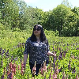 Vio, �������