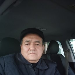 , 56 , -