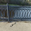 ���� �������, ������ ��������, 66 ��� - ��������� 26 ������� 2026 � ������ ���� ����������