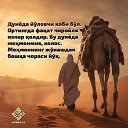 ���� Boxodirjon, �����������, 42 ���� - ��������� 27 ������� 2025