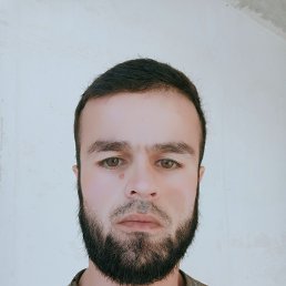, 26, 