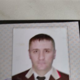 , 42, 