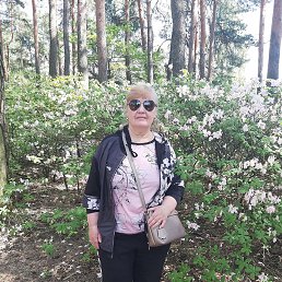 �����, �����, 66 ���