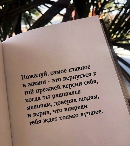   - 28  2025  23:38