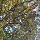 ���� �������, �������� - ��������� 8 ������� 2025 � ������ ������ ��������