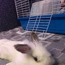 ���� ������, ������, 31 ��� - ��������� 5 ������ 2025 � ������ ������ ��������
