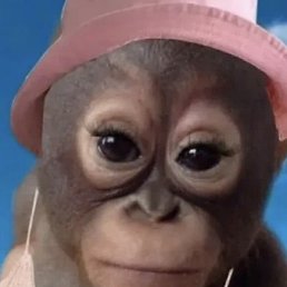 ���� �������, ����������, 48 ��� - ��������� 26 ����� 2026