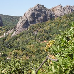 ��������, �������