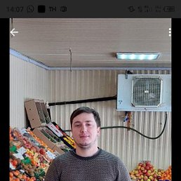 , 32, 