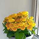 ���� ������, ���������� �����, 56 ��� - ��������� 3 ������ 2026