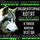 ���� ������, ������, 39 ��� - ��������� 24 ���� 2026 � ������ ���� ����������