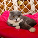  ,   -  23  2024    . -. 