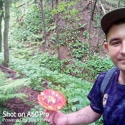 �����, ������, 28 ���