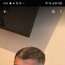 , 36, 