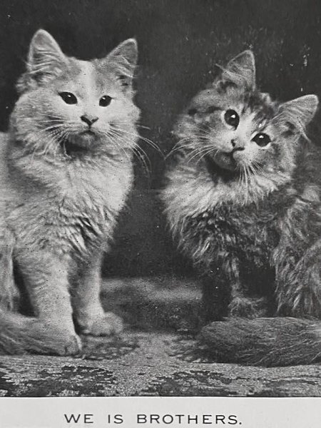    .       :  , , ... - 4